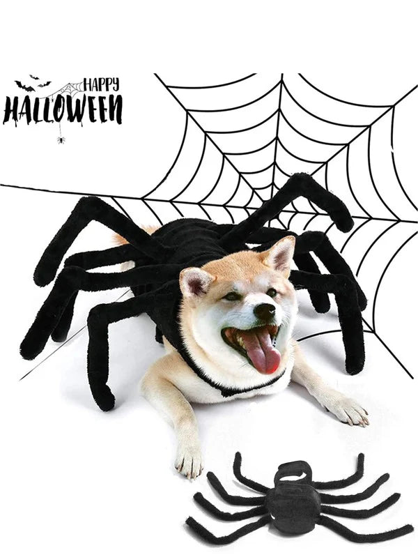 SpiderDog™ Halloween hondenkostuum met spin | 50% korting