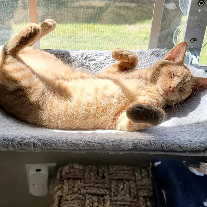 50% Korting | WindowSeat™ Comfortabel rustplekje voor je kat | Laatste dag korting