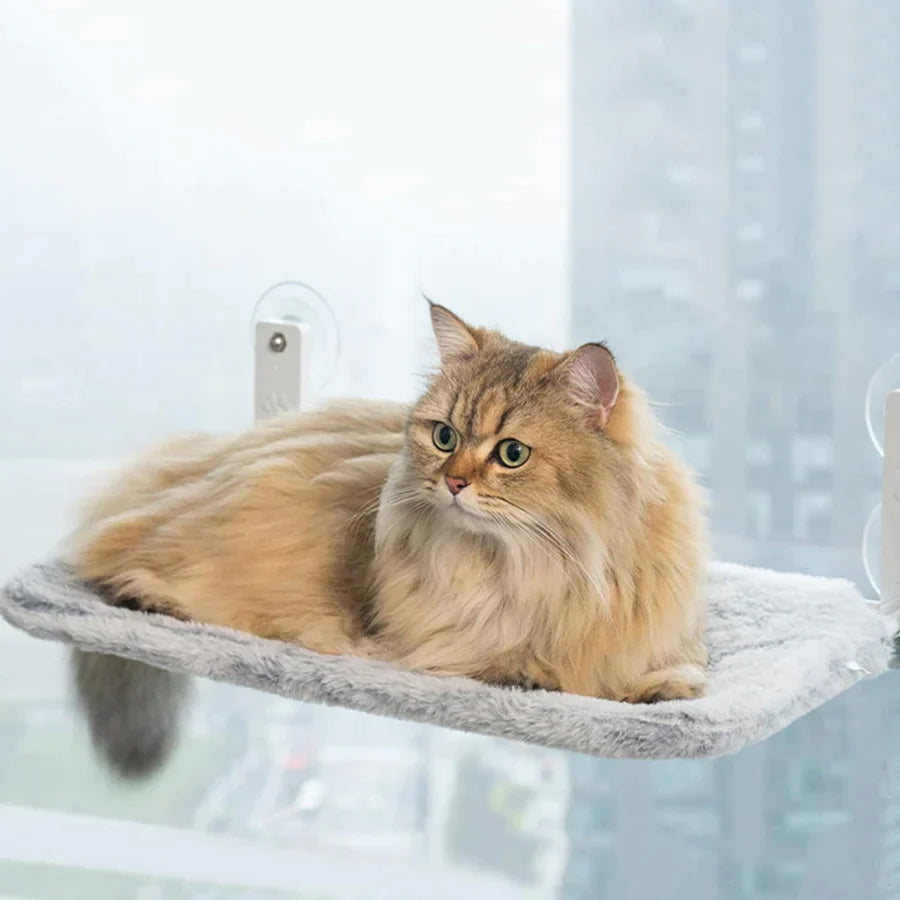 50% Korting | WindowSeat™ Comfortabel rustplekje voor je kat | Laatste dag korting