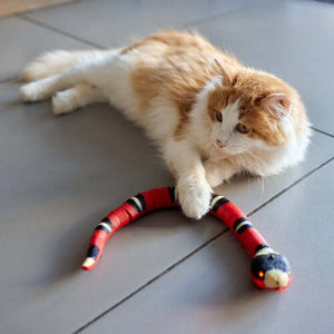 50% Korting | SnakeToy™ Intelligent Speeltje voor Katten