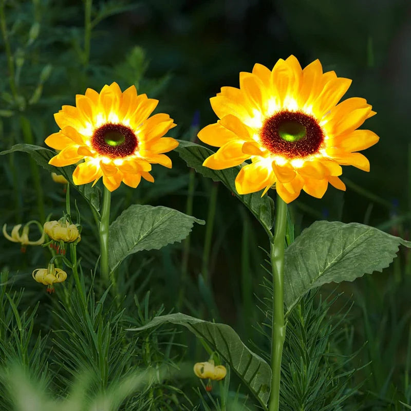 50% korting |  Verfraai je tuin met de Ledson™ tuinverlichting