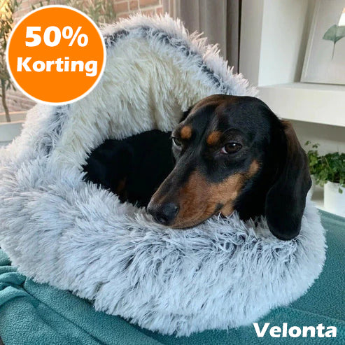 PetCave™ Comfortabele Mat voor Huisdieren | 50% Korting