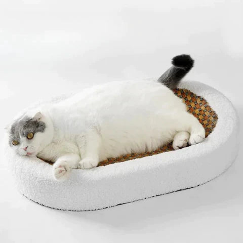 50% Korting |ScratchBed™ Krablounge voor katten [Laatste dag korting]